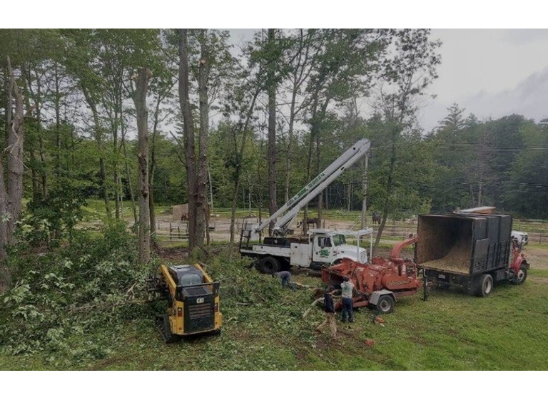 jrl tree services construction 5