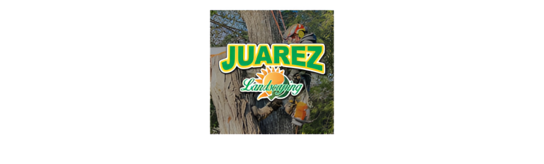 juarez logo1 768x232