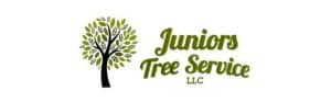 Juniors Tree Service LLC logo with tree illustration.
