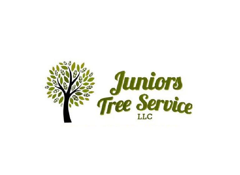 junior tree service logo