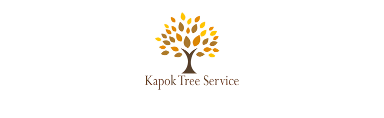 kapok logo1 768x237