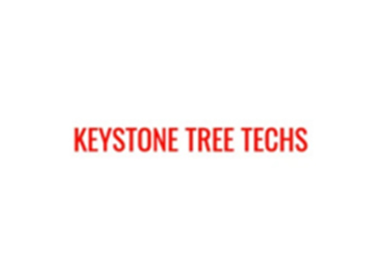 keystone tree techs inc logo