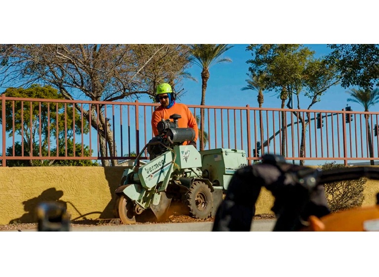 kings tree service 3
