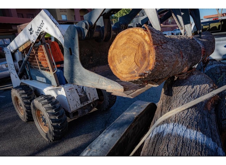 kings tree service 5