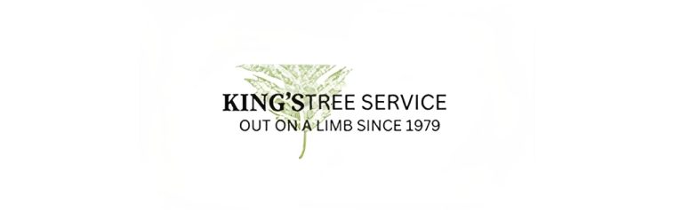 kings tree service banner 768x237