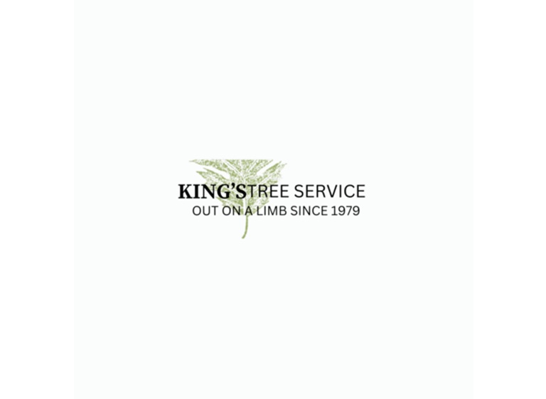 kings tree service logo