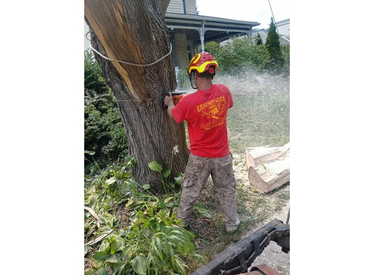 leatherneck tree service 1