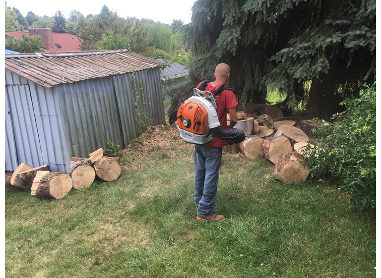 leatherneck tree service 4