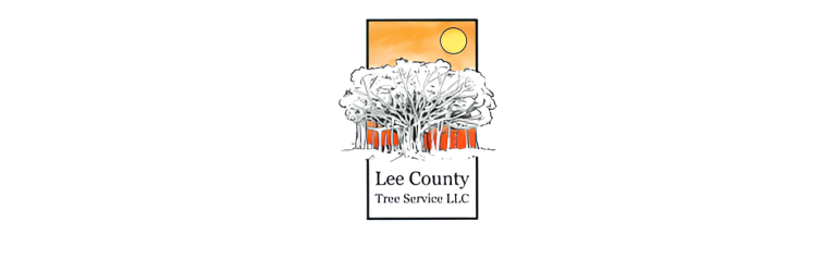 lee logo1 768x237