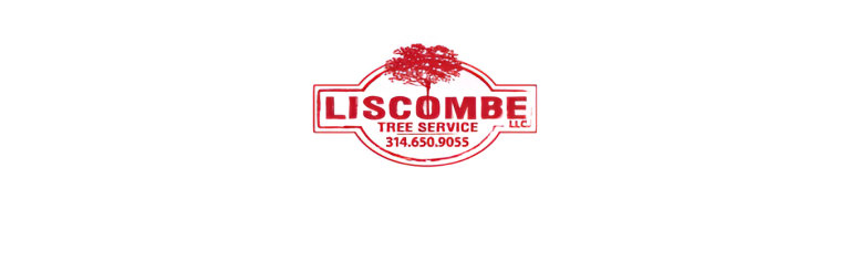 liscombe logo1 768x237