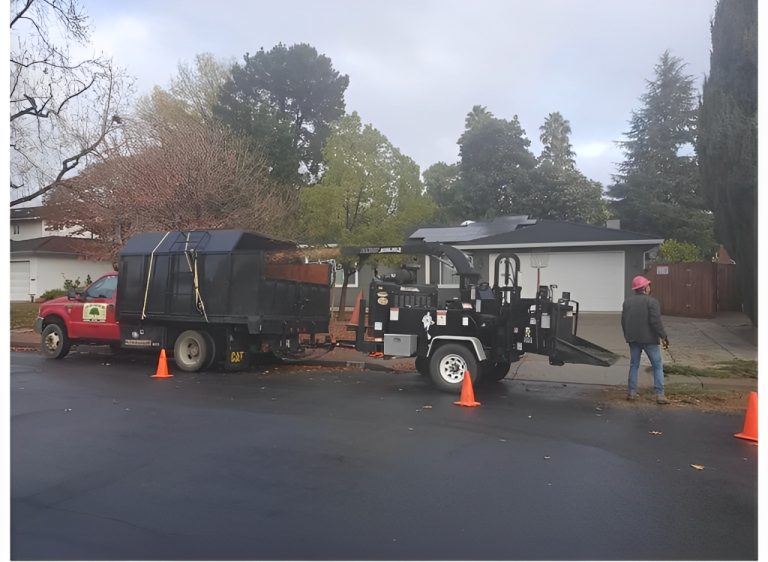 ljr tree services inc 1 768x562