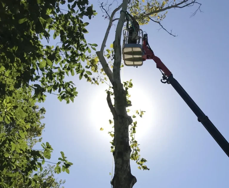 manlift 3433d068 1920w 859956bc 1920w 768x633