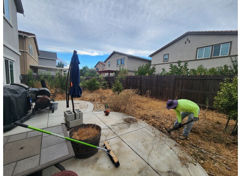 matias tree service 5