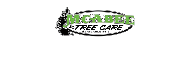 mcabee 1 1 768x237
