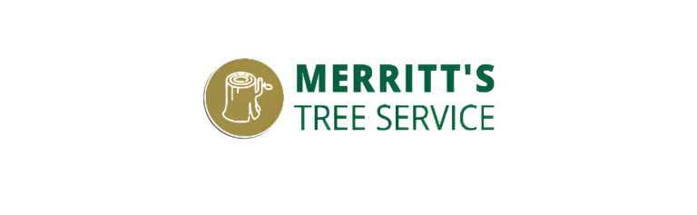 merrit logo1 768x237