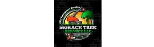 Morace Tree Service LLC logo, 24/7 emergency service.