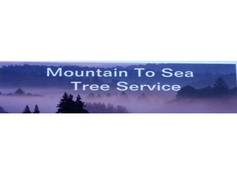 mountain to sea tree service logo