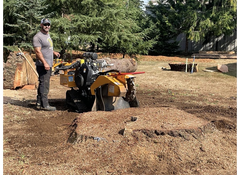 mr tree services 4