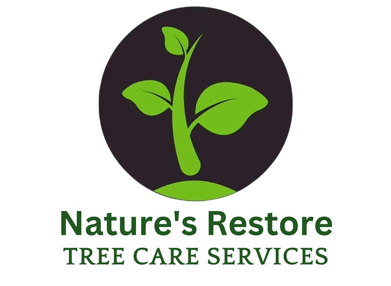 natures restore logo