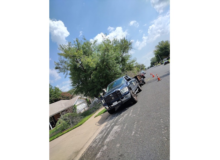 nava tree services 5