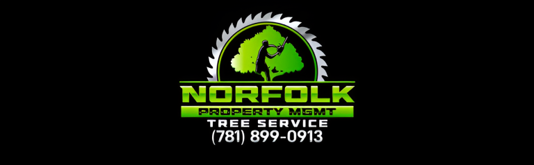 norfolk logo 1 1 768x238