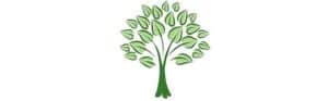 Simple illustration of a green tree with leaves.