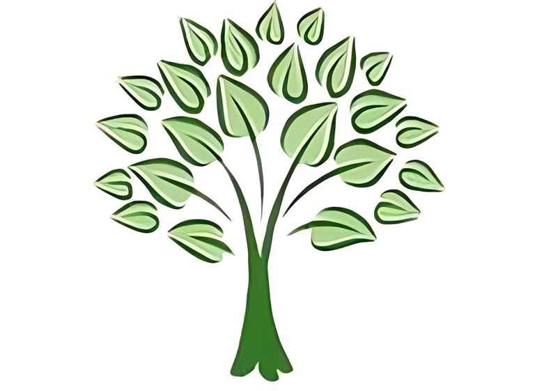 north raleigh tree service logo