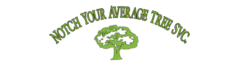 notch logo 1 1 768x237