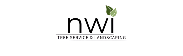 nwi logo 1 1 768x237