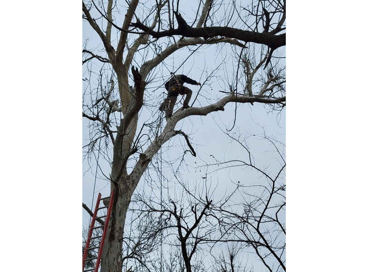 over under services 3