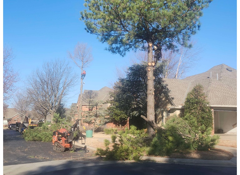 over under services 5