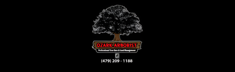 ozark logo1 768x237