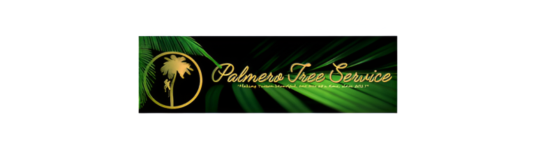 palmero logo11 768x237
