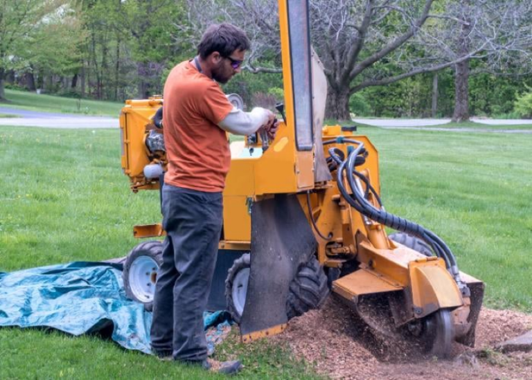 pittsburgh 5 768x549