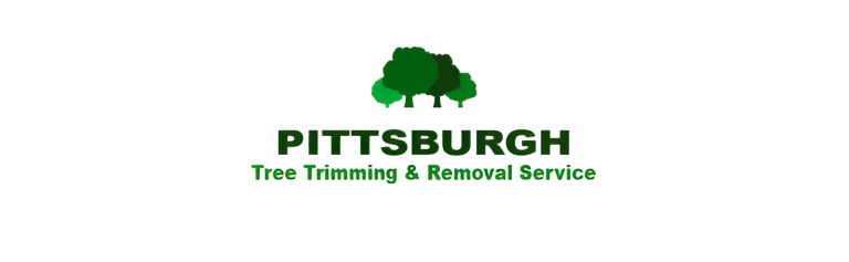pittsburgh logo1 768x237