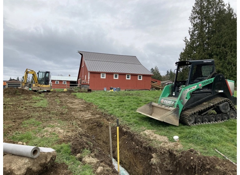 plp tree service snohomish 2