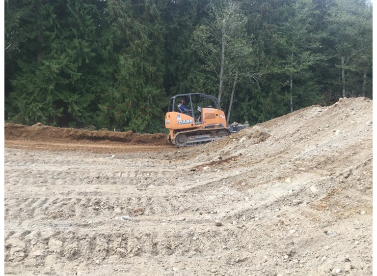 plp tree service snohomish 3