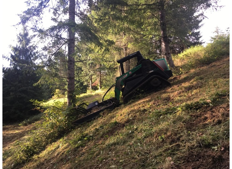 plp tree service snohomish 4
