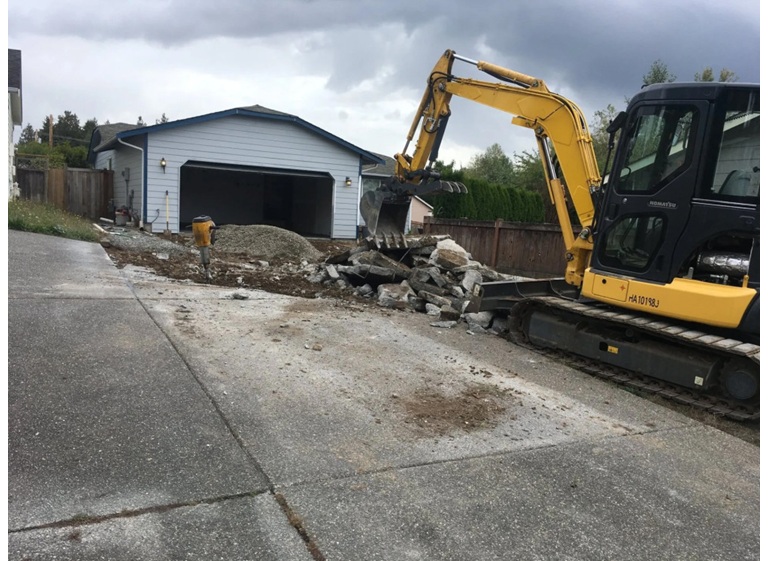 plp tree service snohomish 5