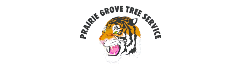 prairie logo1 768x237