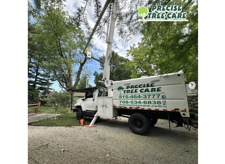precise tree care 2