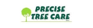 Precise Tree Care logo with green tree