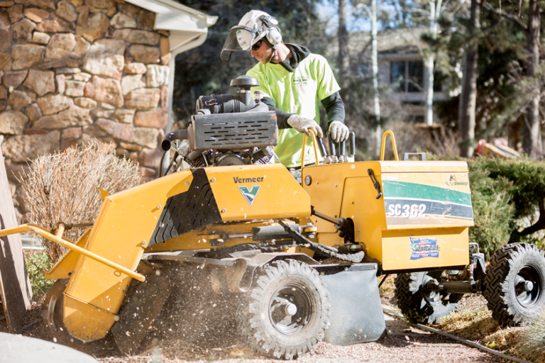 preservation 2 768x512