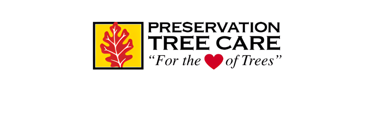 preservation1 1 1 768x237