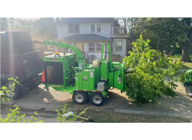 pro tree service valdosta ga 2