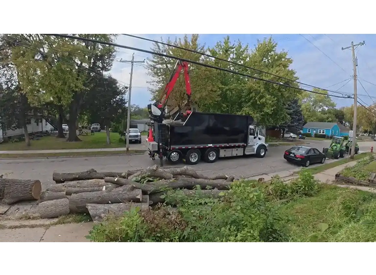 pro tree service valdosta ga 4