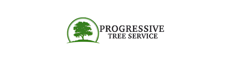 progress logo1 768x237