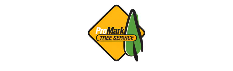 promark logo1 768x237