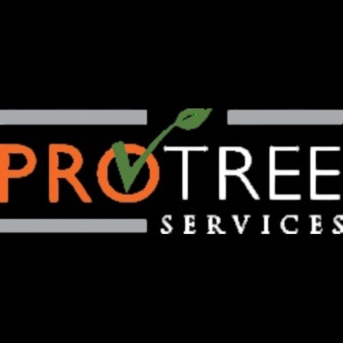 protree logo color and white photoroom