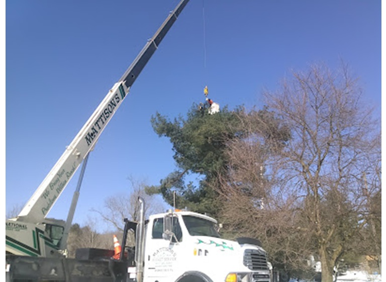renko tree service 1